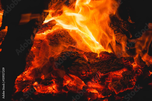 Fire campfire burning at night