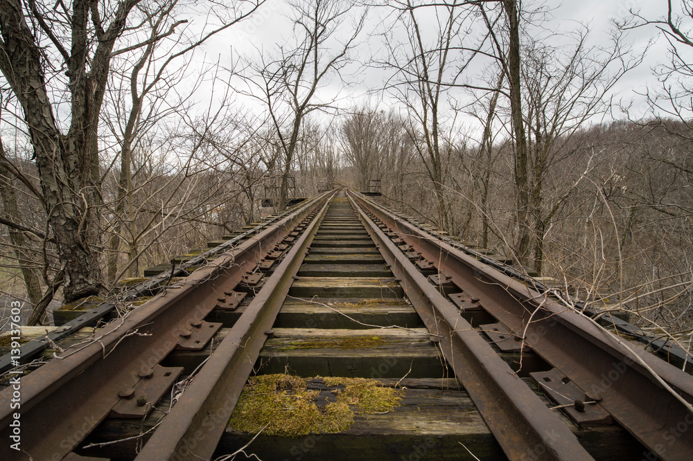 Fototapeta premium Abandoned Train Bridge