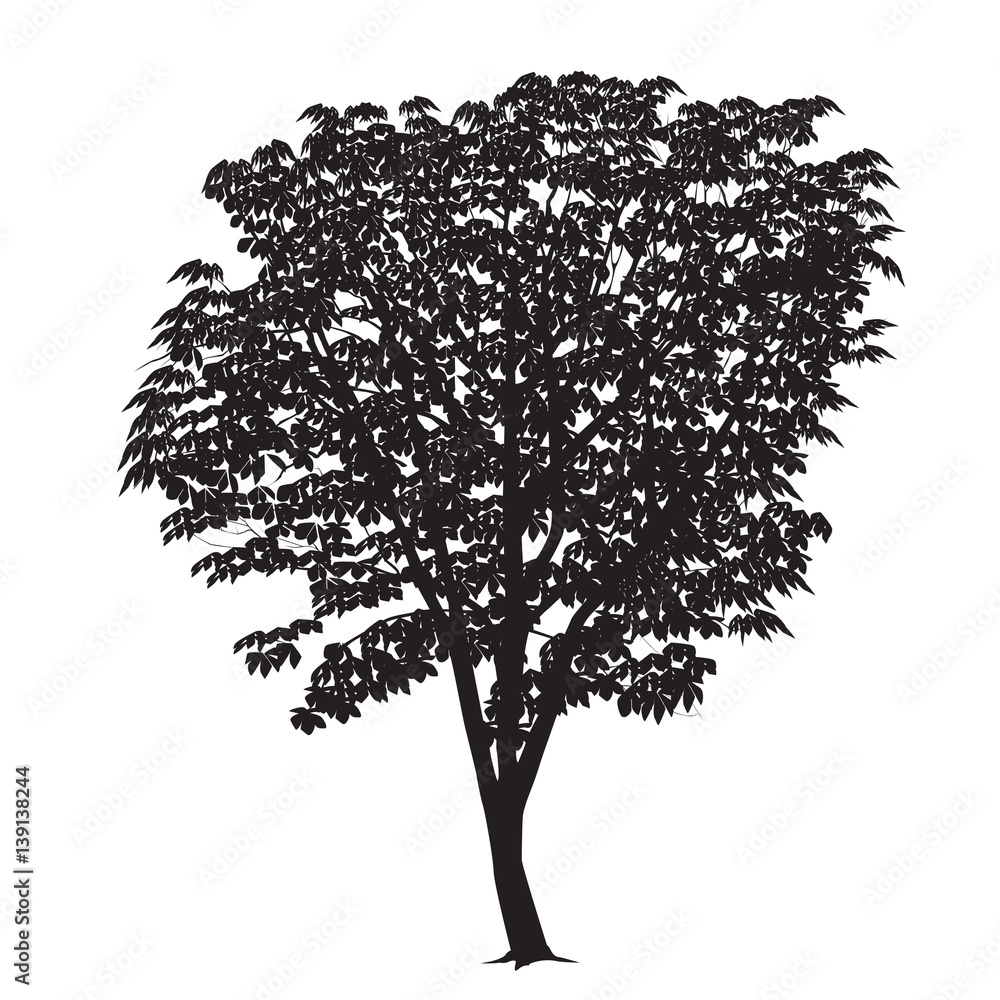 Fototapeta premium Chestnut silhouette on a white background