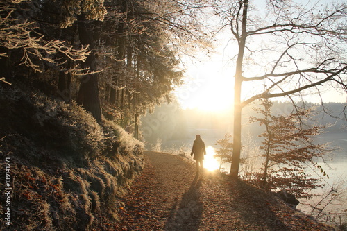 Winterimpressionen des Waldes