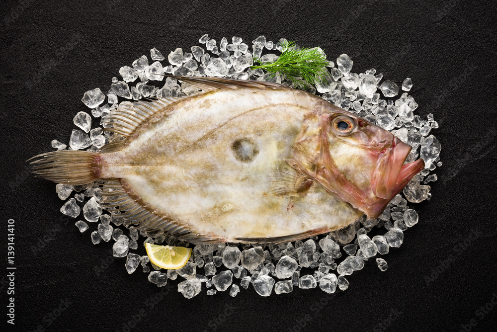 Fresh St Peter's fish on ice on a black stone background