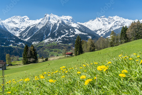 Fr  hling in der Natur