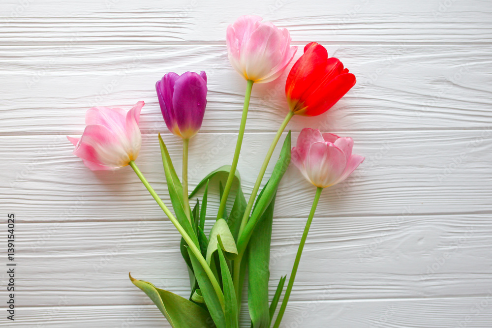 Wooden white background and pink tulips.  March 8, Mother's Day.