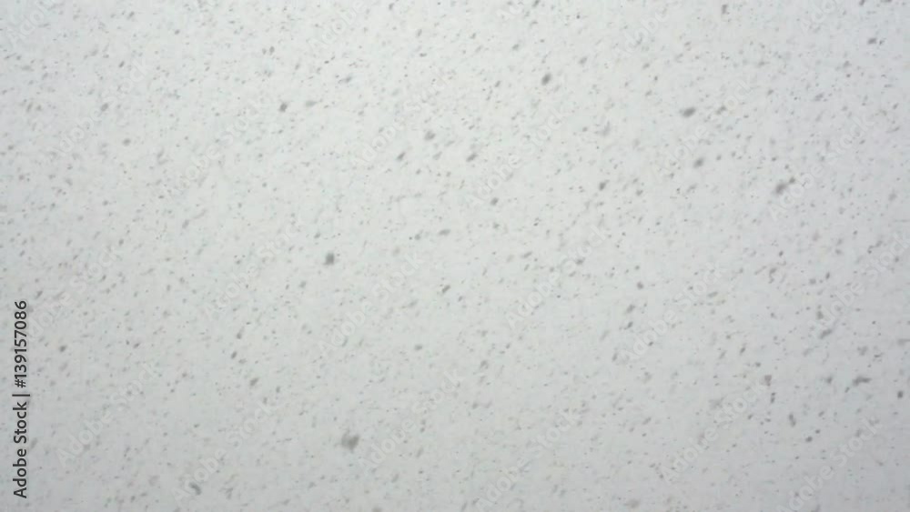 Falling snowflakes — Heavy snowfall Falling snowflakes — Heavy snowfall