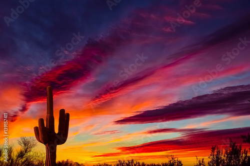 Obraz na plátně Arizona desert landscape with Siguaro Cactus in silohouette