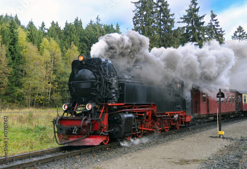 Fototapeta Naklejka Na Ścianę i Meble -  Harz Narrow Gauge Steam Train in clouds of smoke, Germany