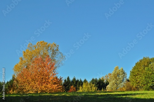 Herbstlandschaft, Bergisches Land