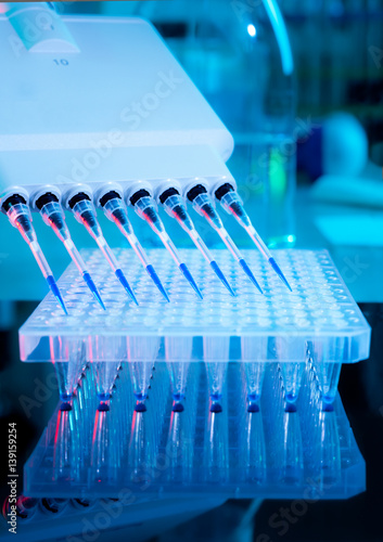 Photos DNA amplification assay