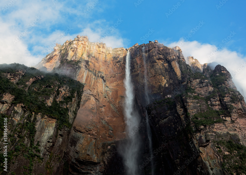 Obraz premium Angel Falls is world´s highest waterfalls (978 m) in the early morning - Venezuela, Latin America