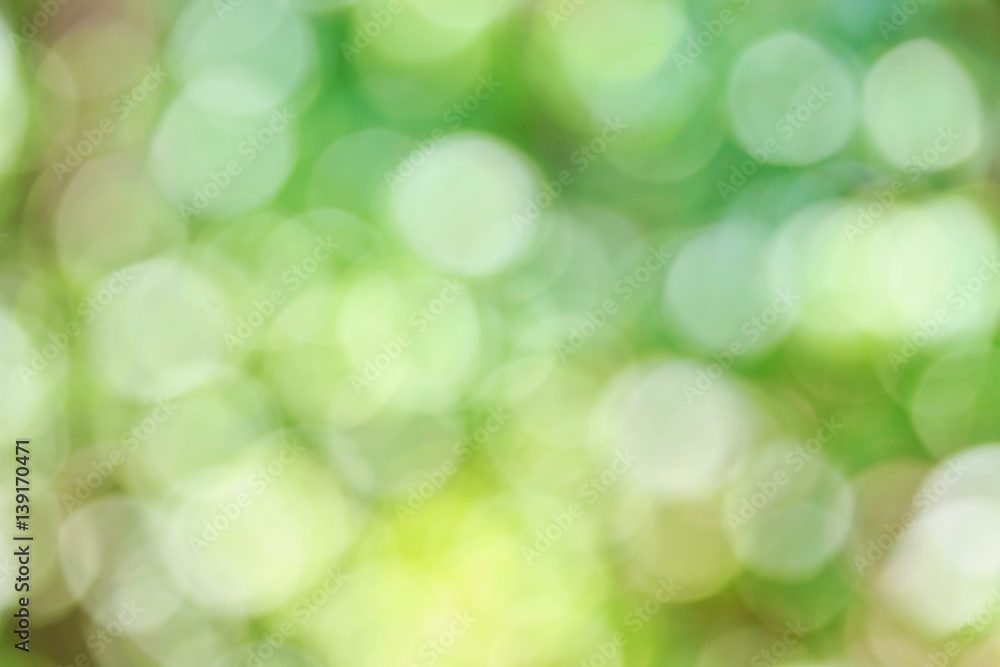 Obraz premium Blur Sunlight for Green Background