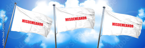 Photos misdemeanor, 3D rendering, triple flags