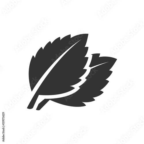 BW Icons - Basil leaf