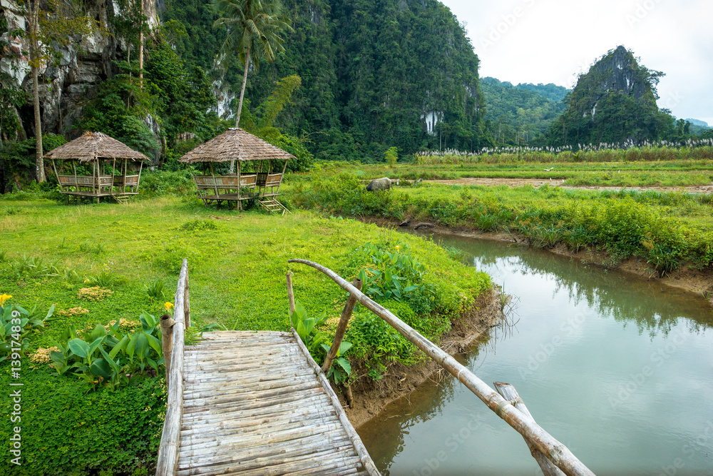 Jungle bridge and huts in Philippines