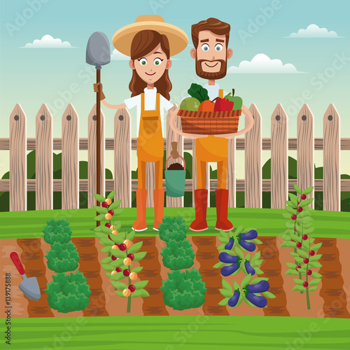 couple farmers vegetable basket field fence vector illustration