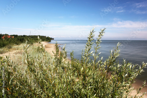 Sand beach of the Curonian lagoon near Morskoe  Pillkoppen  village in the Curonian Spit National Park. Russia.