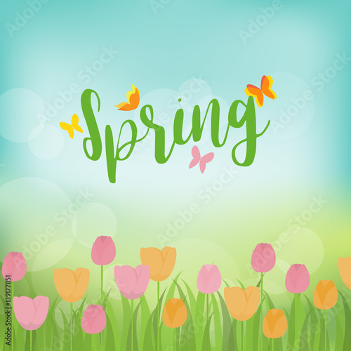 spring season background. vector