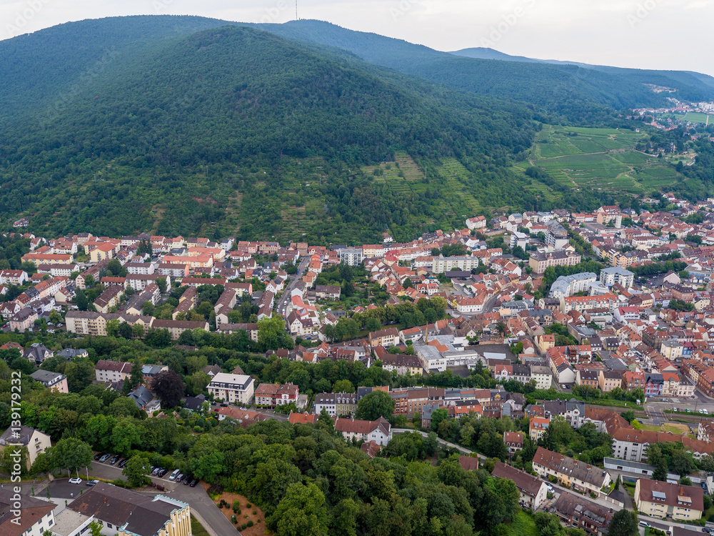 Luftbild Neustadt an der Weinstraße Pfalz Deutschland 