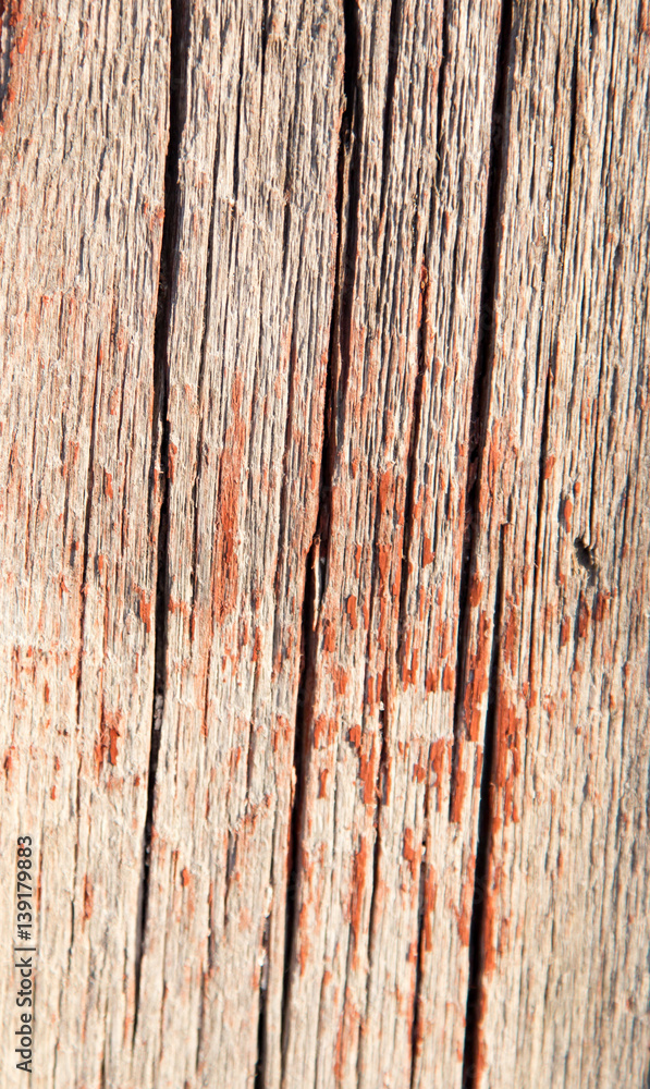 Fototapeta premium old wooden fence as a backdrop
