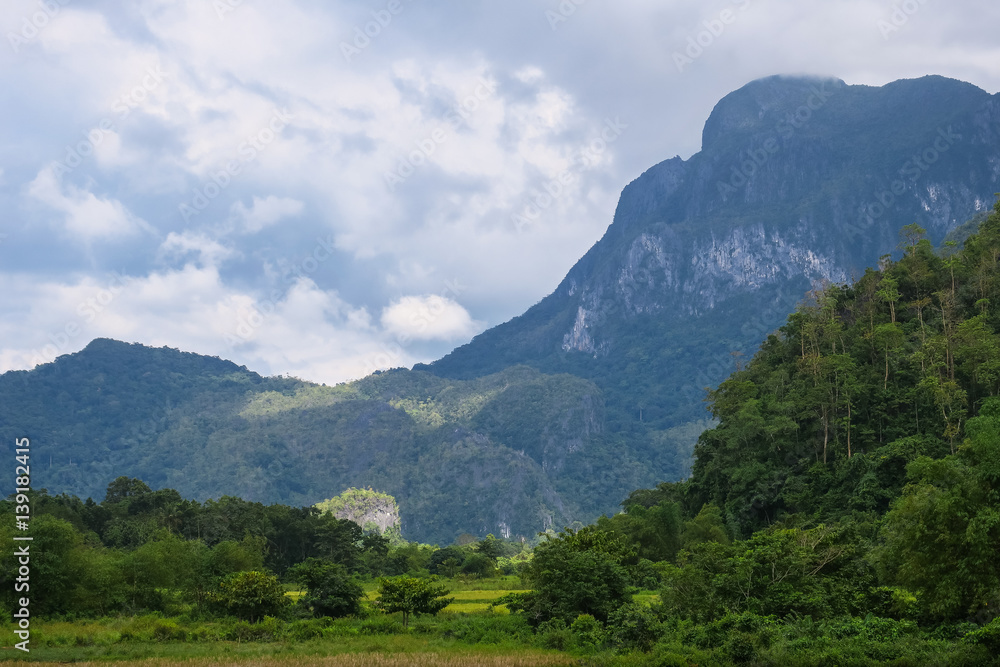 Jungle Mountains of Sabang, Palawan