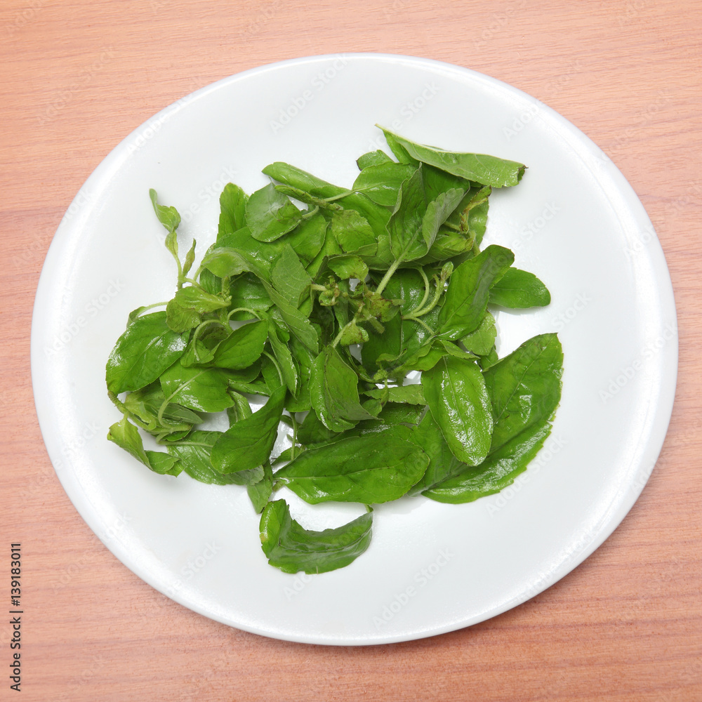 basil leaves basil leaves