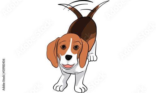 beagle dog action