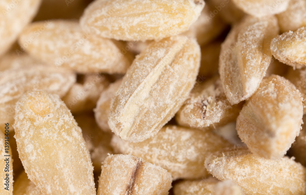 barley as background. macro barley as background. macro