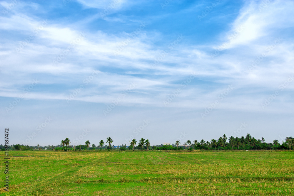 Sky with clouds and meadow