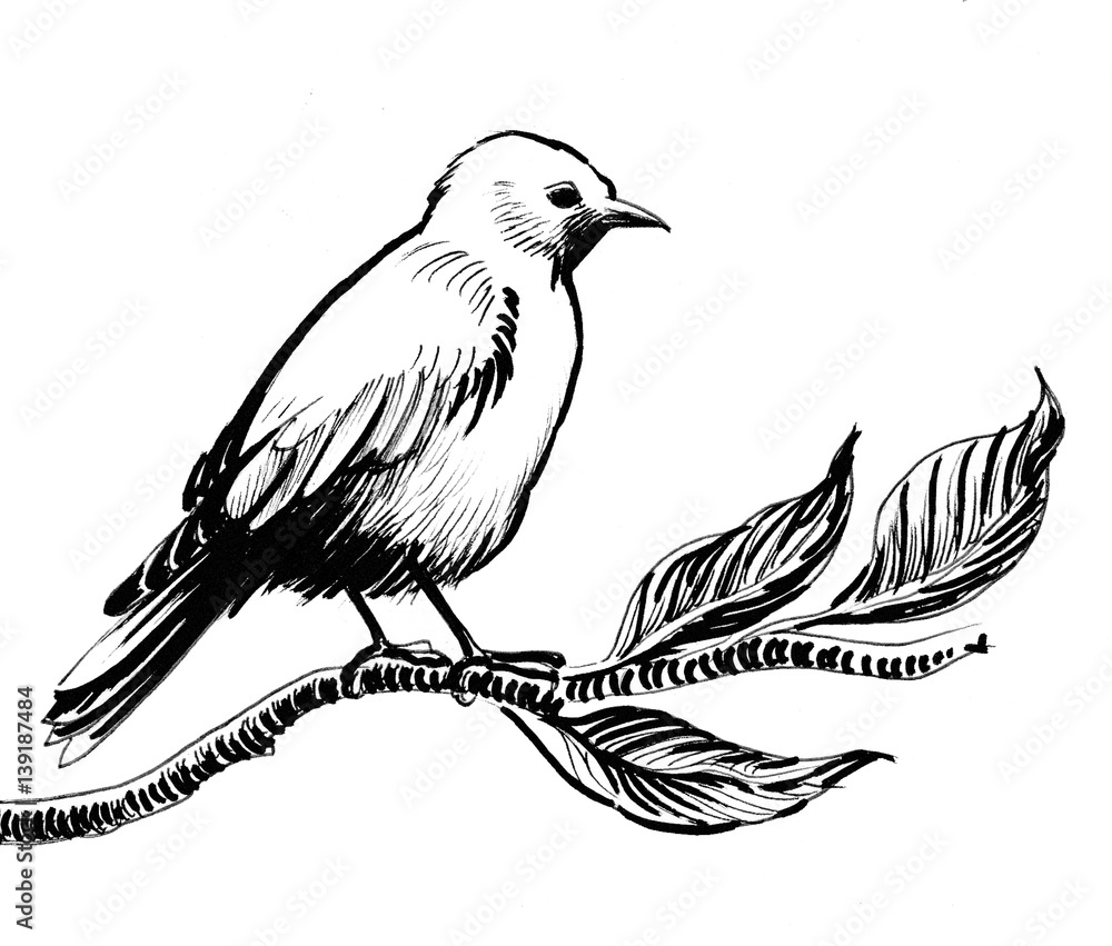 Obraz premium Bird on a branch