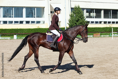 Horse dressage training