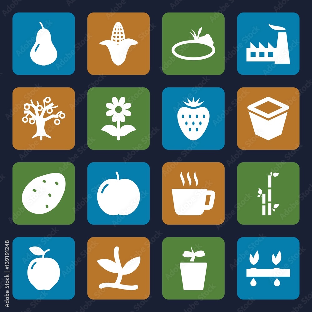 Set of 16 leaf filled icons Set of 16 leaf filled icons