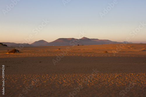 Slope hill sand on yellow dunes on blue sky background. Sunrise  morning. Sustainable ecosystem. Canary island  Fuerteventura