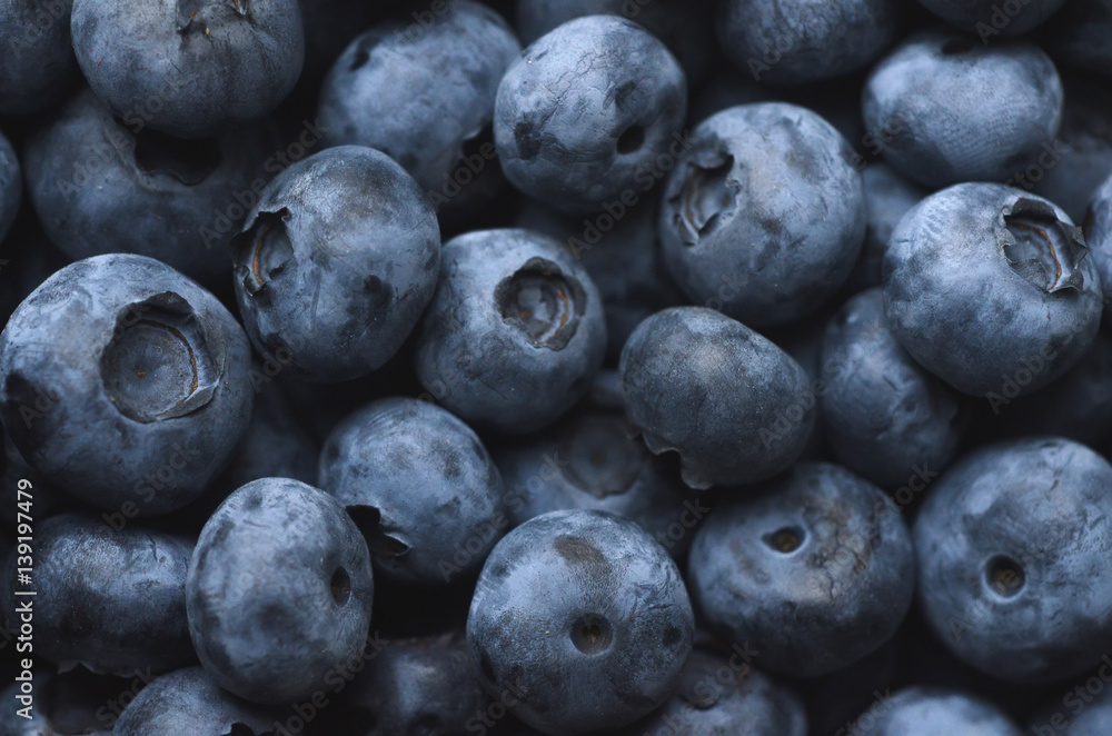 blueberry background blueberry background