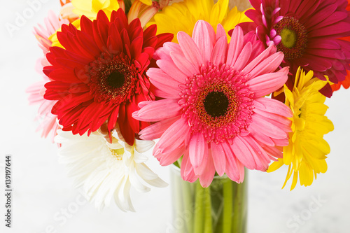 Colorful gerbera flowers on white wooden background.