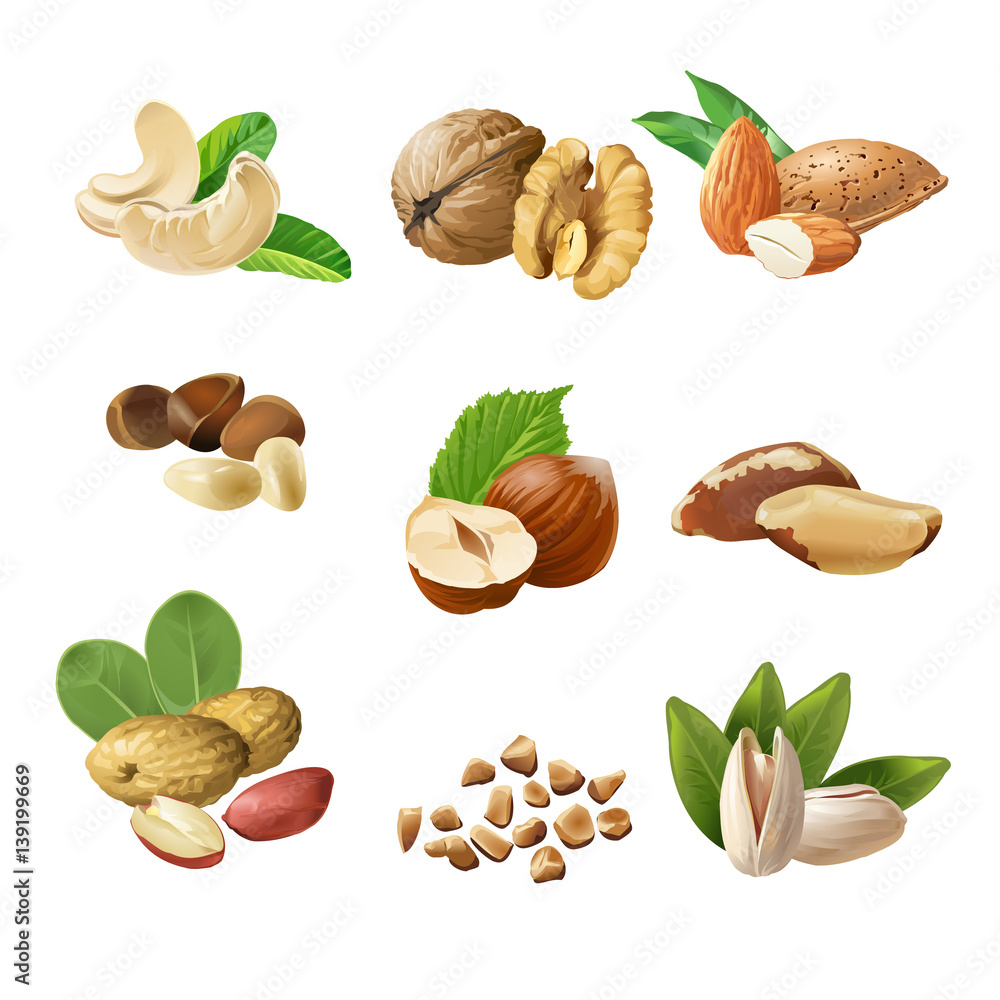 Set icons of nuts Set icons of nuts