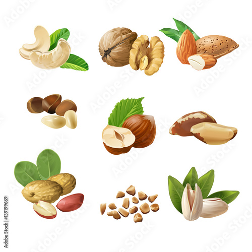 Set icons of nuts