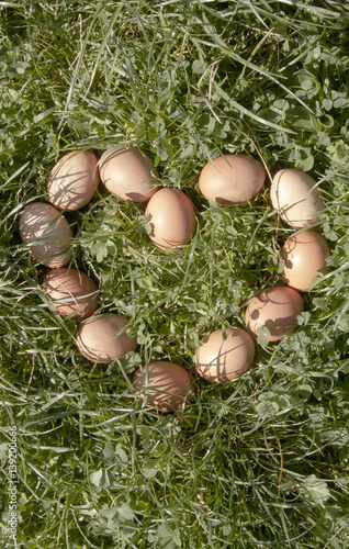 Alegoría a la vida sana o natural a través de la muestra de huevos formando un corazón: 