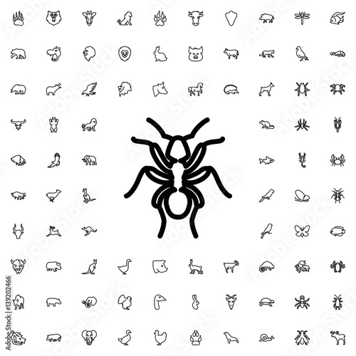 ant icon illustration