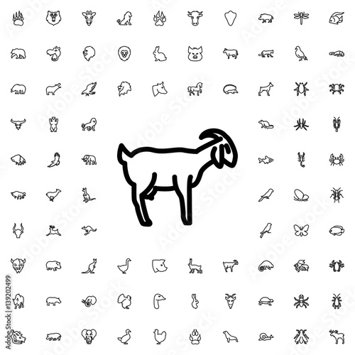 goat icon illustration
