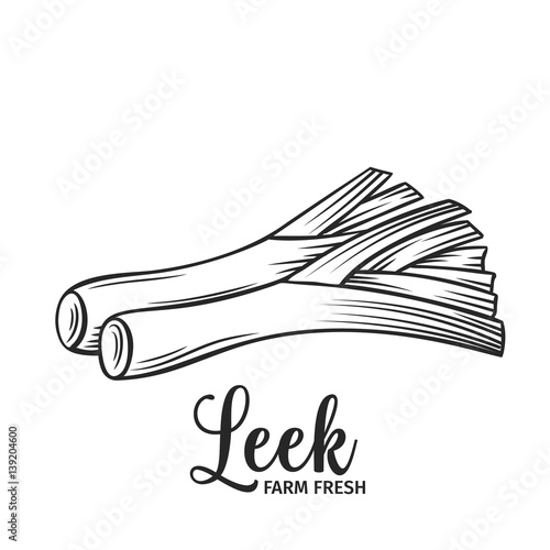 Hand drawn leek icon.