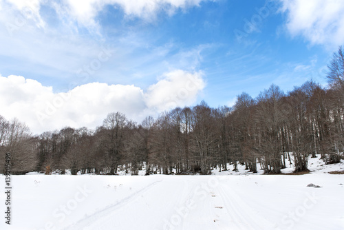Snowy winter landscape © Roberta Canu