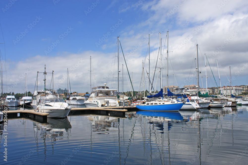 Marina in Victoria Harbour