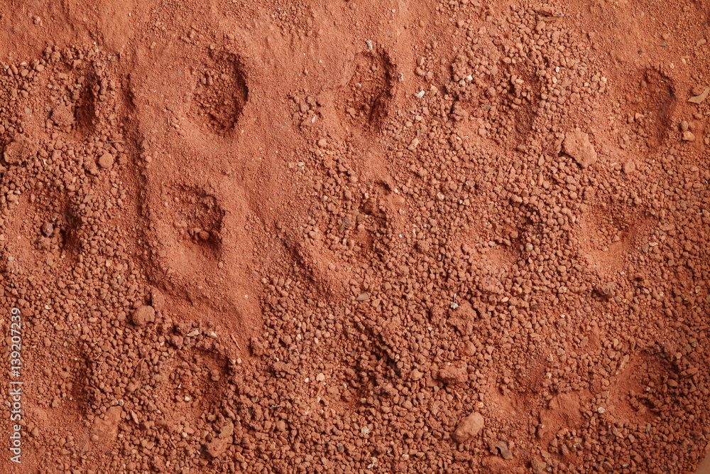 The lateritic soil with hole represent the surface background and texture concept related idea.