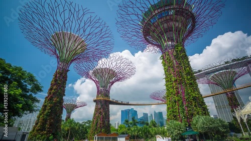 Wallpaper Mural Singapore Super trees Motion timelapse
 Torontodigital.ca