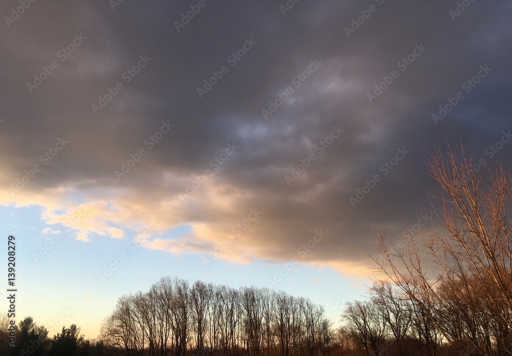 sunlit trees and clouds on winter sunrise sunlit trees and clouds on winter sunrise