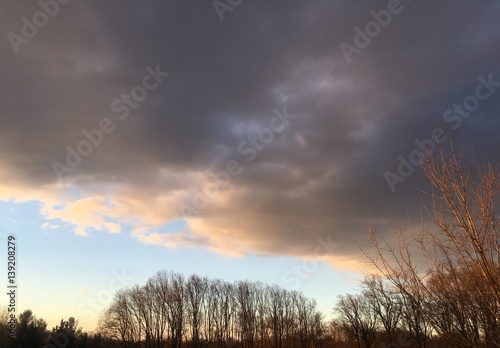 sunlit trees and clouds on winter sunrise