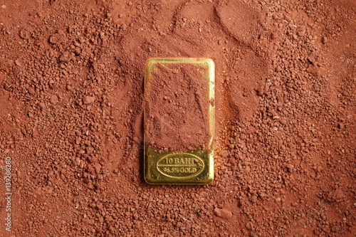 The gold bar put on the lateritic soil background represent treasure and business finance concept related idea. photo