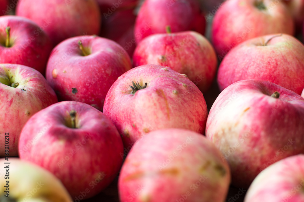 Group of red apples on wooden table background. Summer seasonal garden apples. Group of red apples on wooden table background. Summer seasonal garden apples.