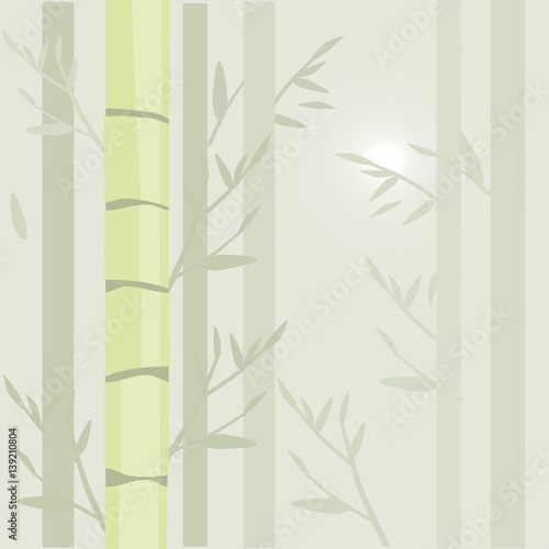 Fototapeta Naklejka Na Ścianę i Meble -  Bamboo background, vector illustration