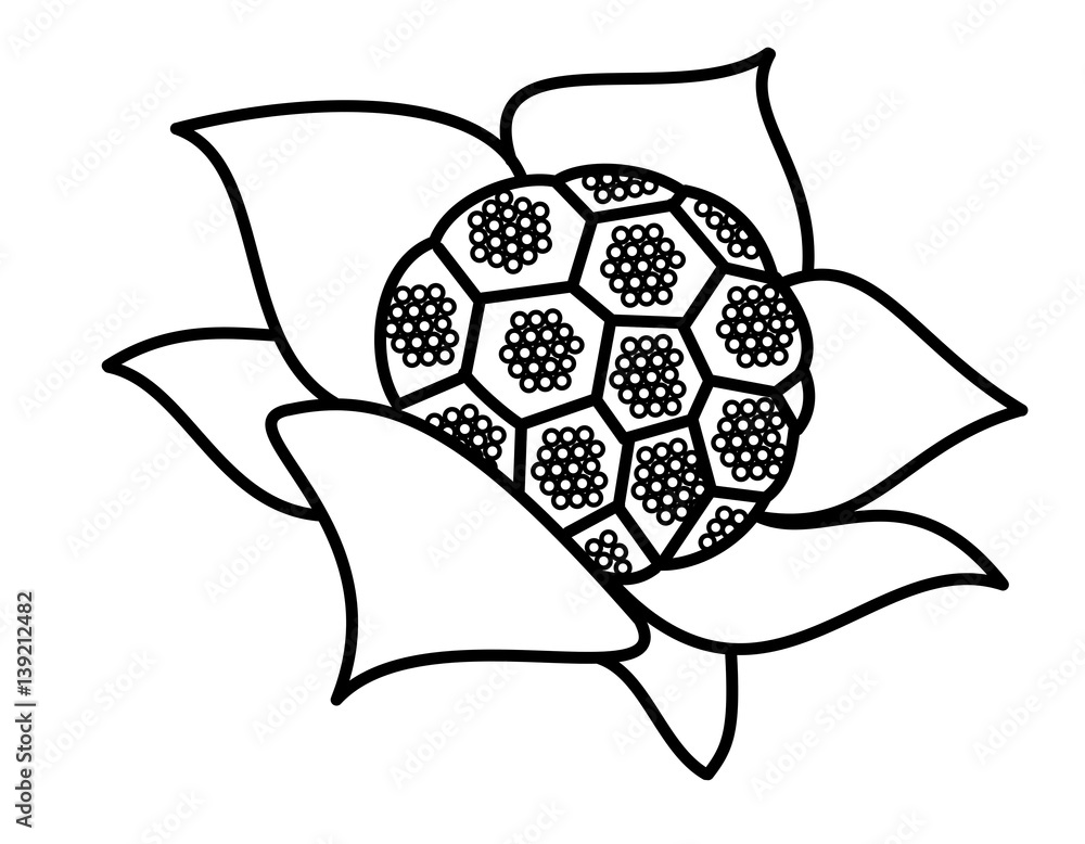 Obraz premium フキノトウ(線画)