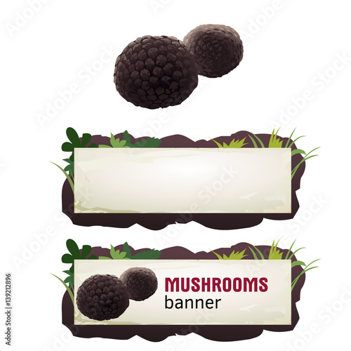 Set of mushroom vector banner, badge, sticker, icon with truffle